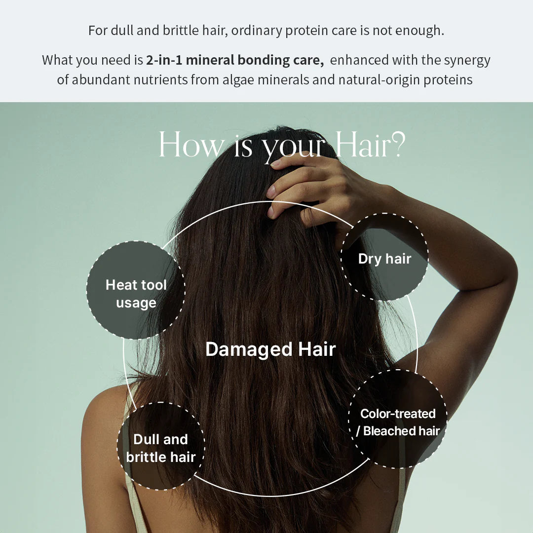 Algae Therapy Mineral No-wash Treatment