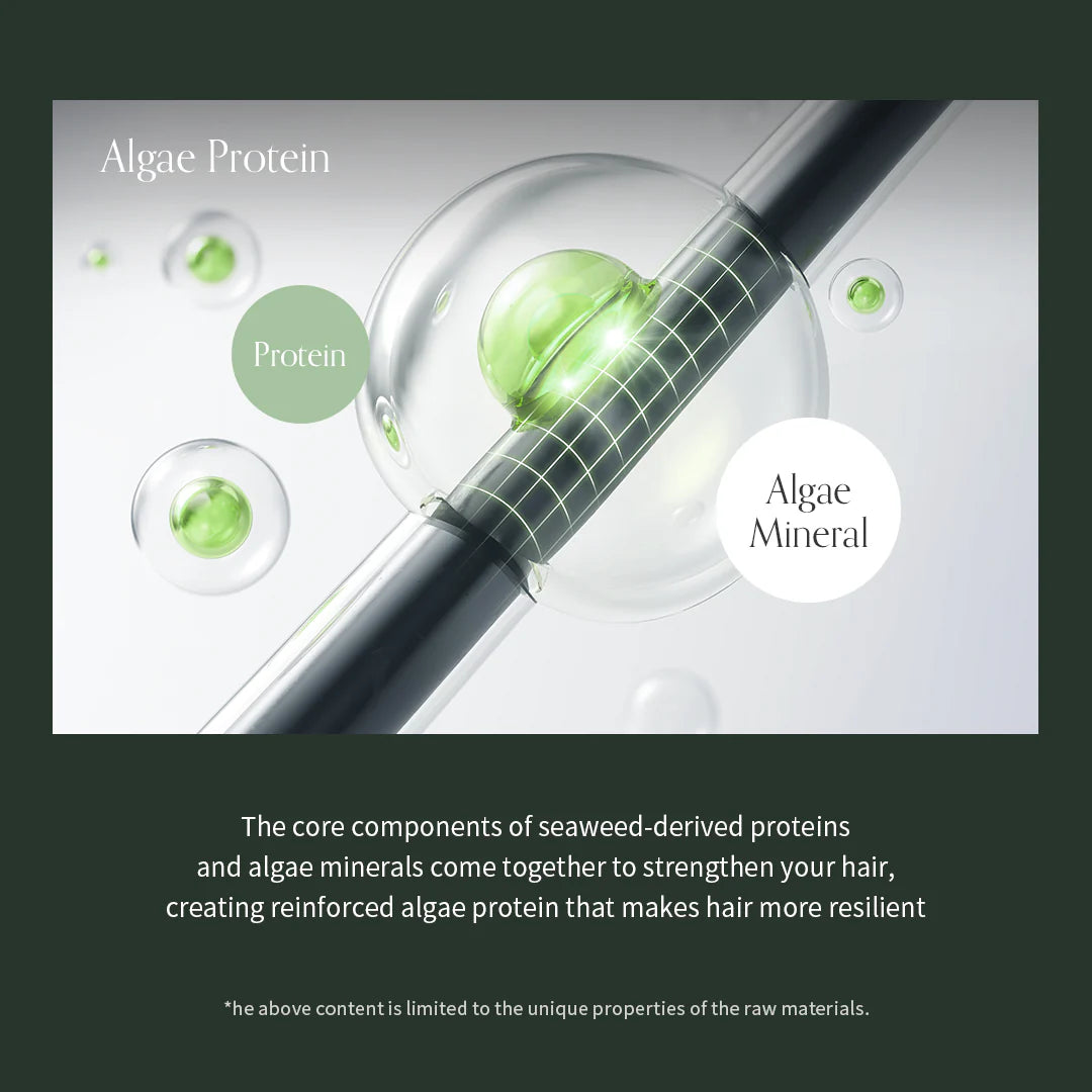 Algae Therapy Mineral No-wash Treatment