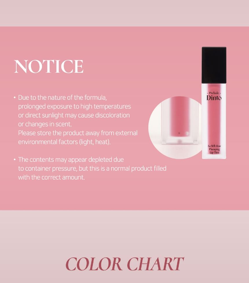 La Belle Rose Plumping Lip Tint (6 Colors)