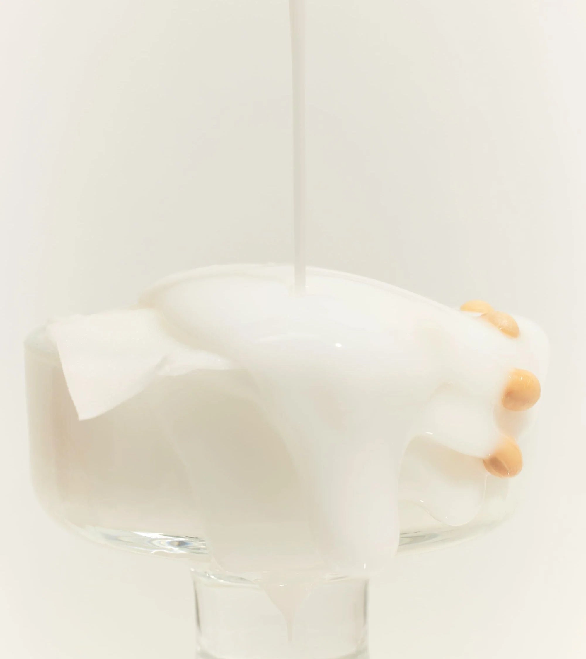 Soybean Milk Pad
