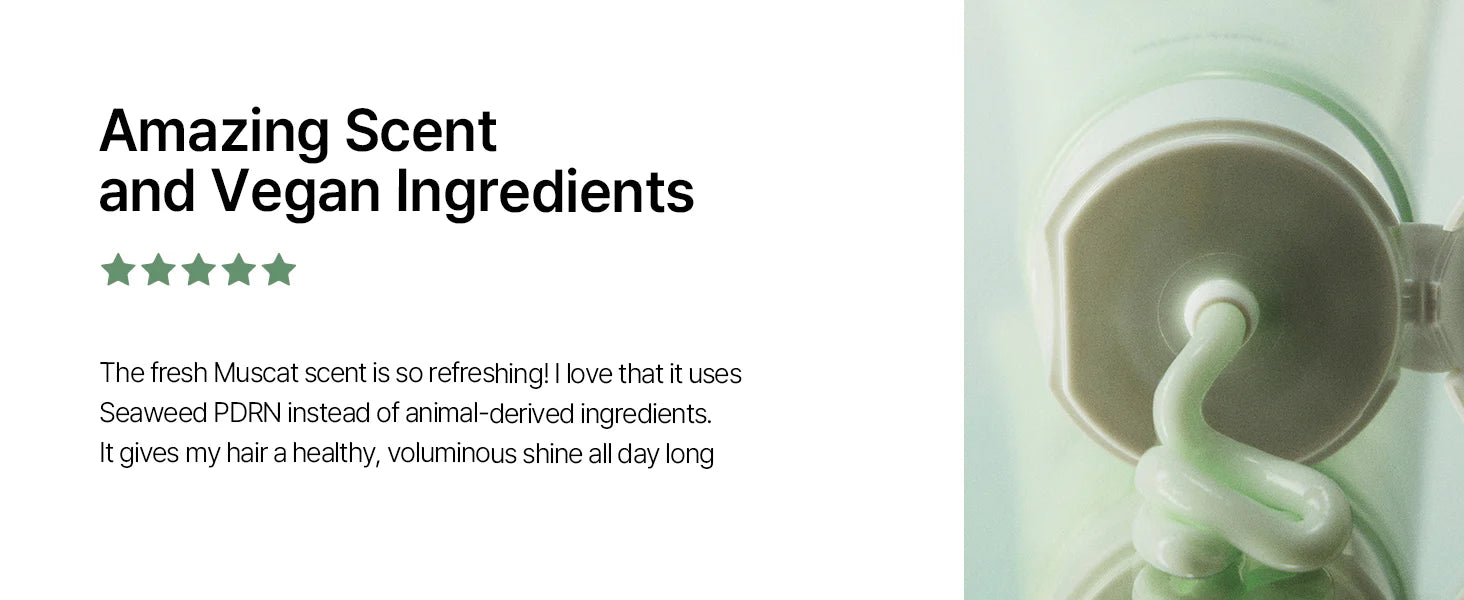Algae Therapy Mineral No-wash Treatment