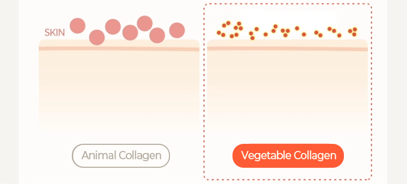 Real Vegan Collagen Cream